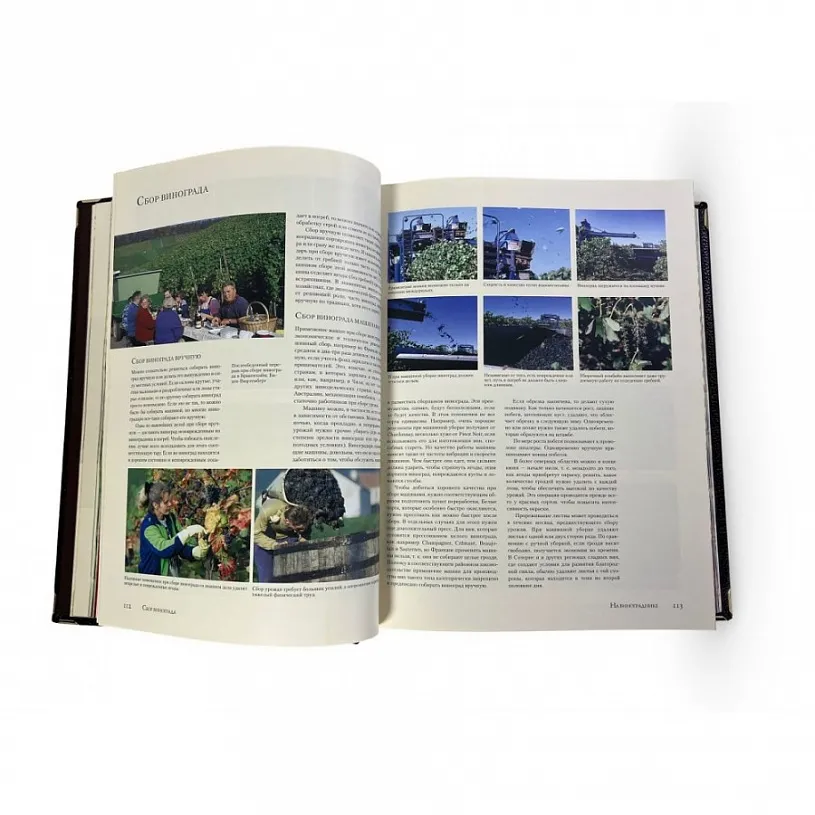 Книга "Вино. Самая полная иллюстрированная энциклопедия" Доминэ Андрэ