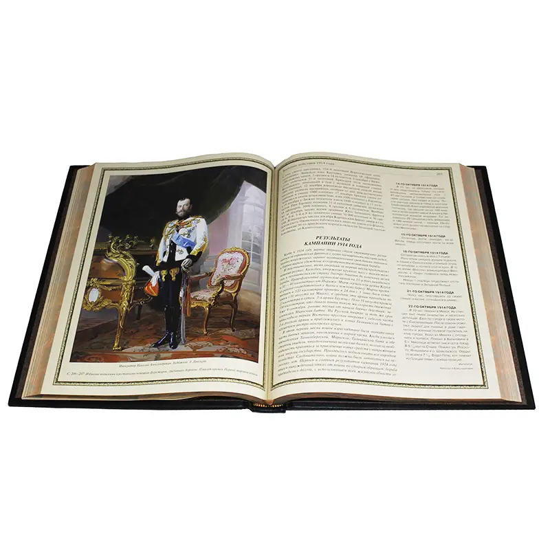 Подарочная книга "Победы и поражения на фронтах Первой мировой войны"