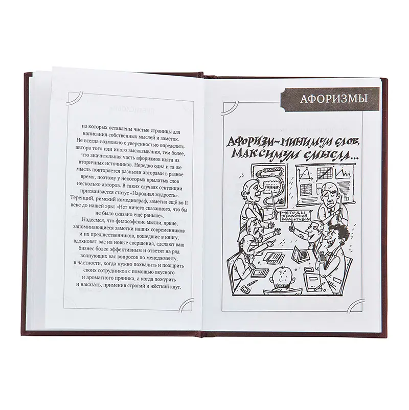 Подарочный набор руководителя "Кнут и пряник"