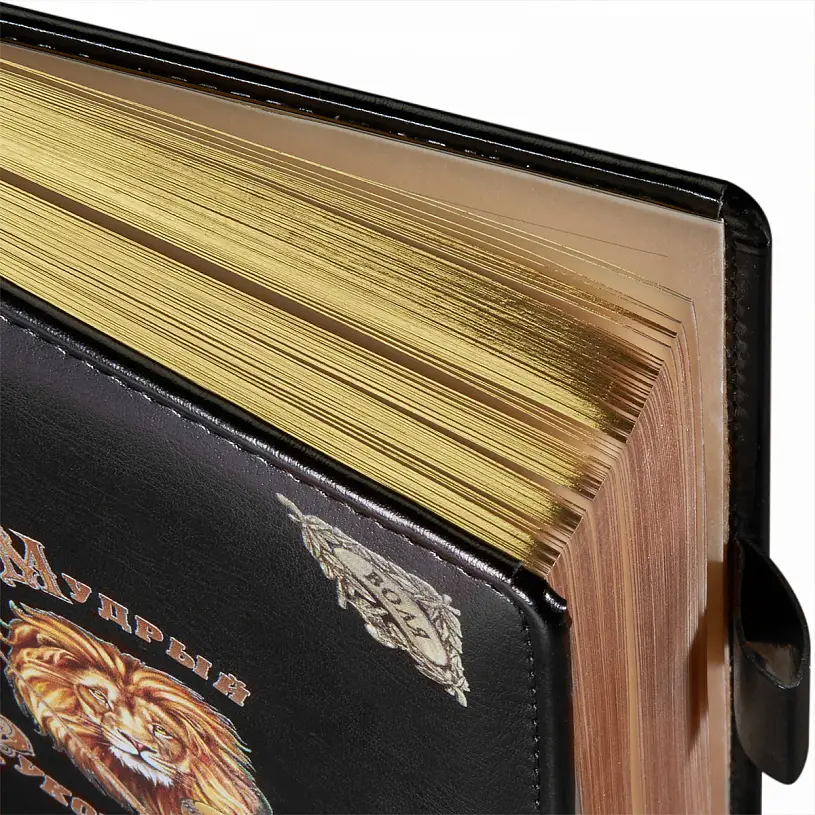 Набор руководителя "Лев на щите" с блокнотом