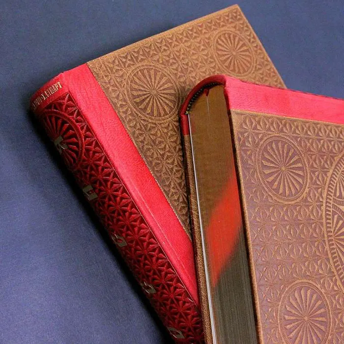 Книга в кожаном переплете "Россия" Джордж Добсон, Генри Гроув, Хью Стюарт