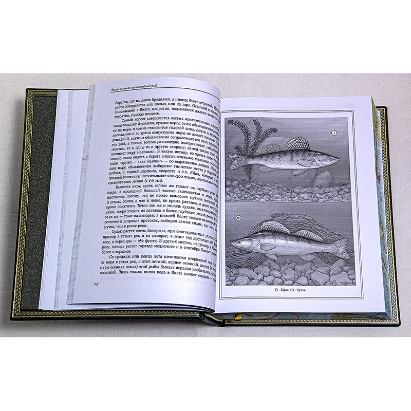 Книга подарочная в коже "Рыбы России" Л.П. Сабанеев
