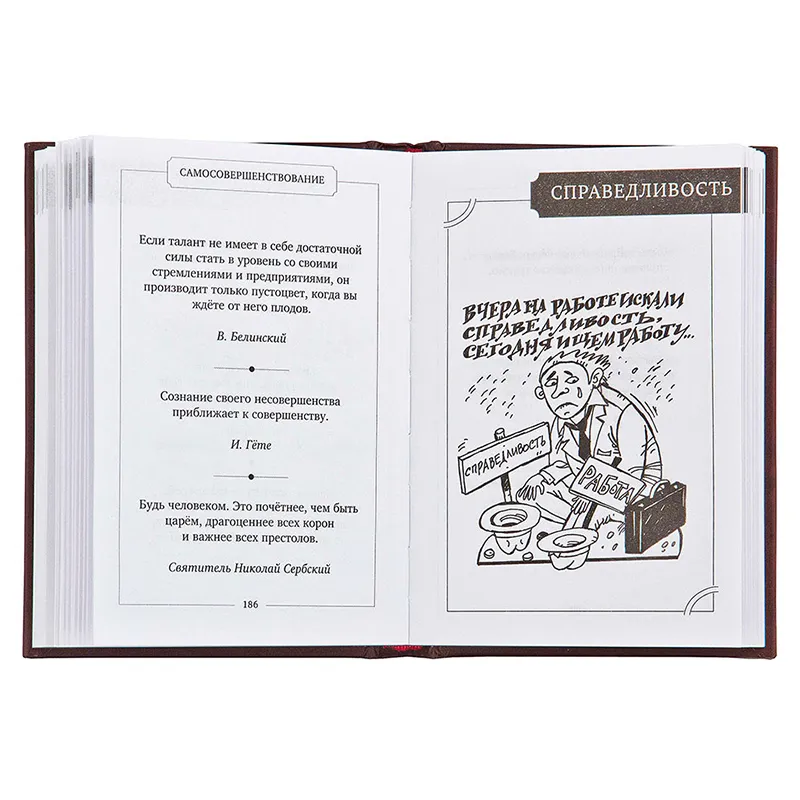 Набор руководителя кнут и пряник "Фемида"