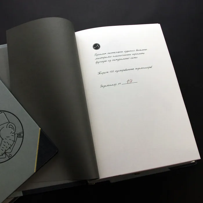 Подарочный 2-ух томник в кожаном переплёте "Похождения бравого солдата Швейка во время мировой войны"