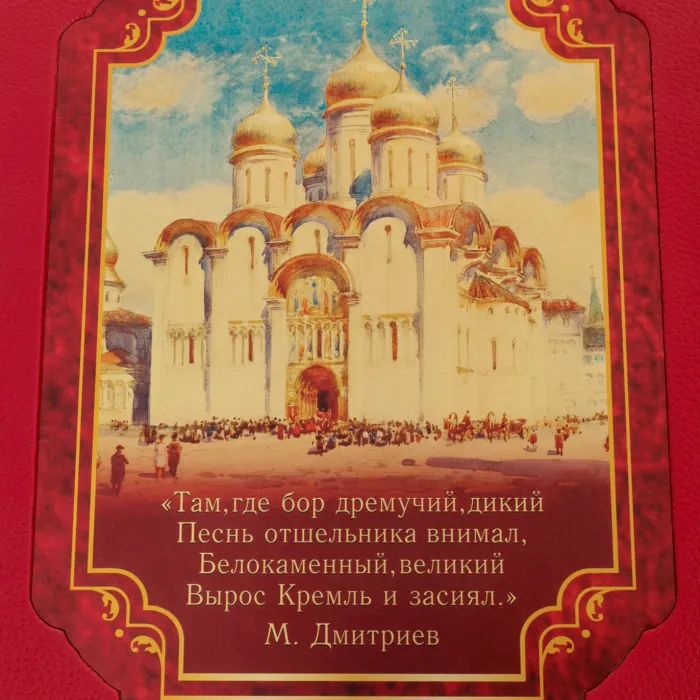 Книга в кожаном переплете "Кремль в Москве" Михаил Фабрициус