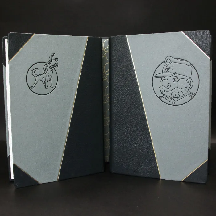 Подарочный 2-ух томник в кожаном переплёте "Похождения бравого солдата Швейка во время мировой войны"