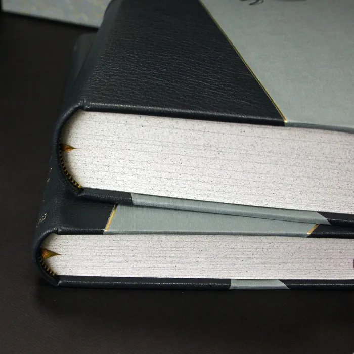 Подарочный 2-ух томник в кожаном переплёте "Похождения бравого солдата Швейка во время мировой войны"