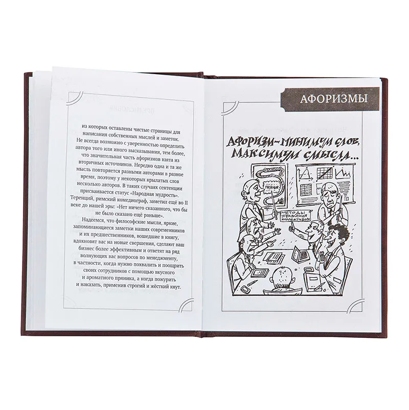 Набор руководителя кнут и пряник "Фемида"