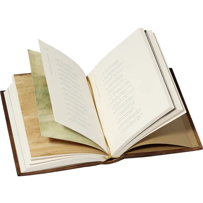 Книга в кожаном переплёте "Дорога превращений" Д.Руми