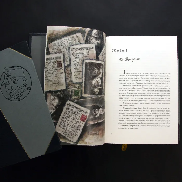 Подарочный 2-ух томник в кожаном переплёте "Похождения бравого солдата Швейка во время мировой войны"