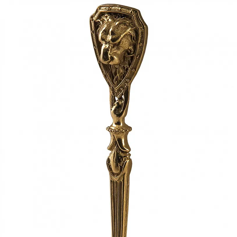 Набор для руководителя "Лев"