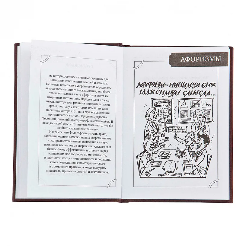 Набор руководителя "Лев на щите" с книгой афоризмов