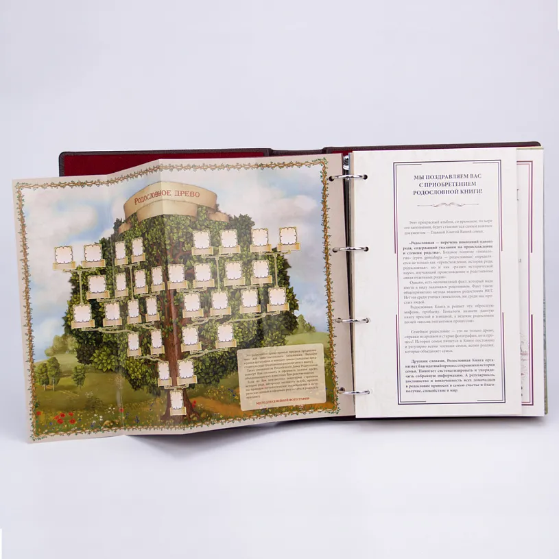 Родословная книга в ларце