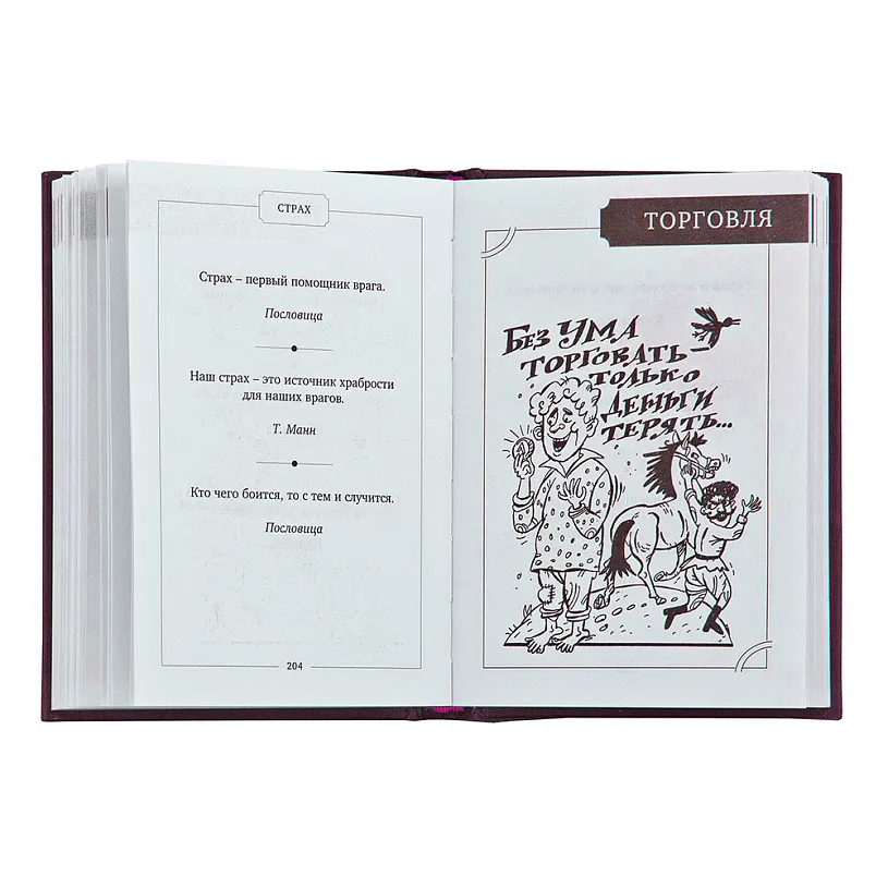 Набор руководителя "Лев на щите" с книгой афоризмов