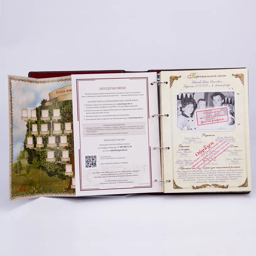Родословная книга в футляре "Тройка"