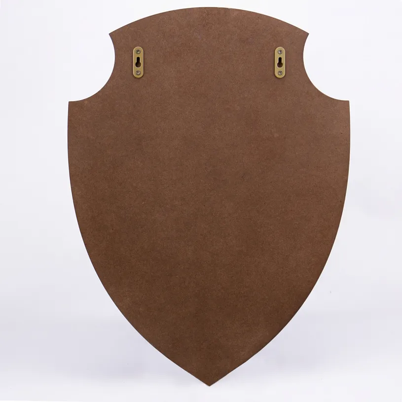 Набор руководителя на панно c кнутом и пряником "Лев"