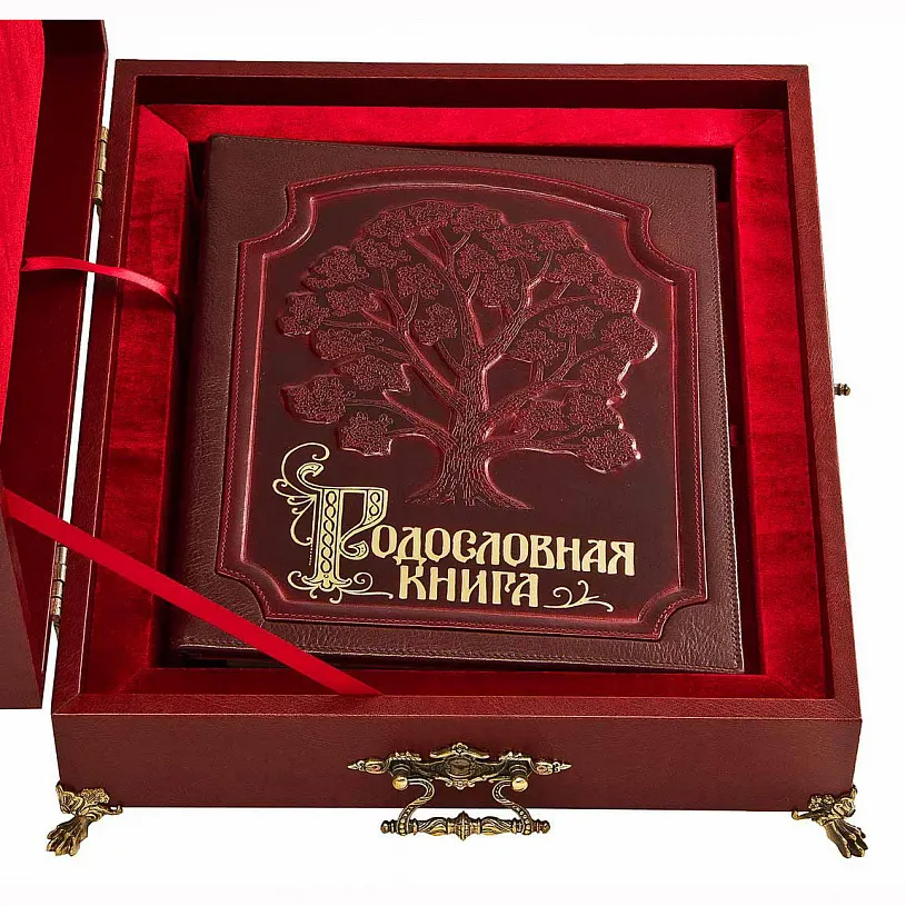 Родословная книга в ларце