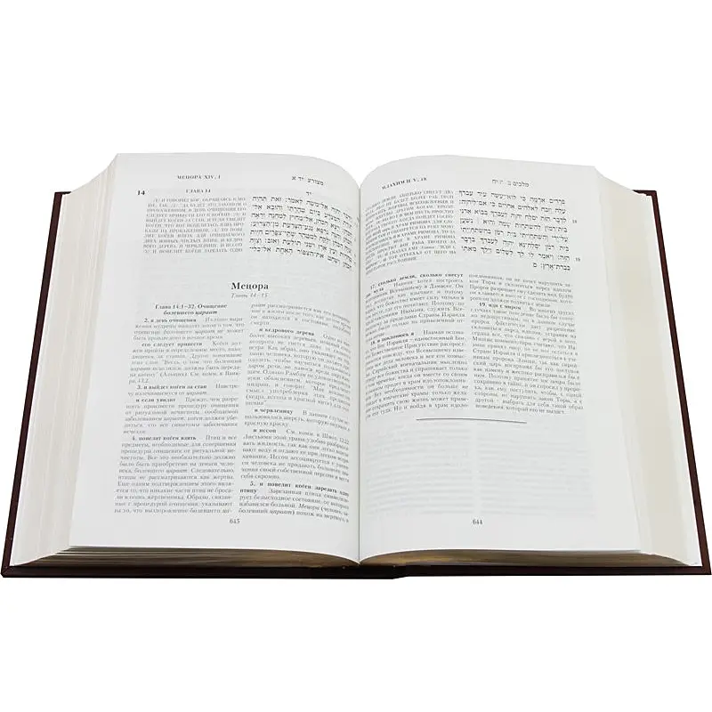 ТОРА Пятикнижие и Гафтарот с филигранью (золото) и гранатами