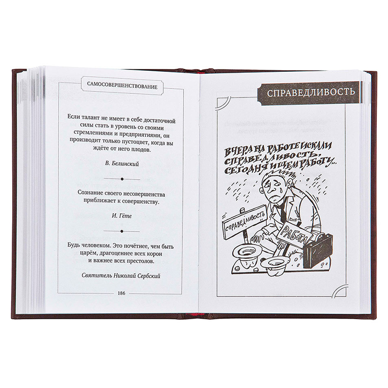 Набор руководителя на панно c кнутом и пряником "Лев"