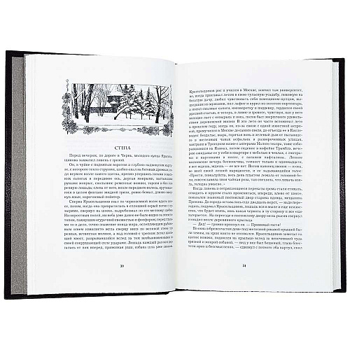 Подарочная книга в кожаном переплёте "Темные аллеи" И.Бунин