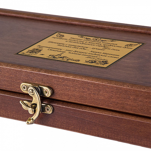 Набор шампуров в футляре "ФСБ"