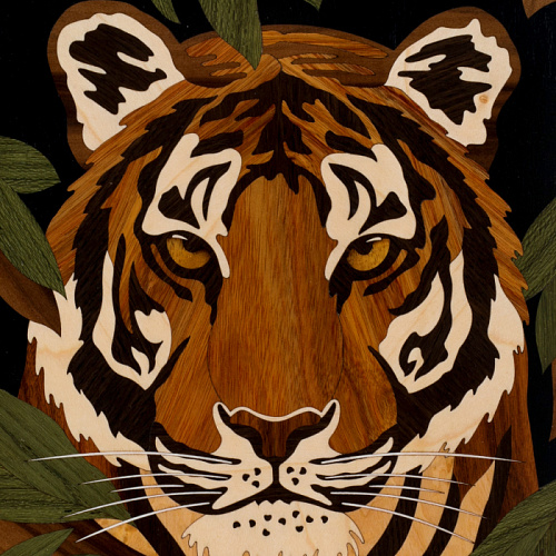 Нарды из карельской березы "Тигр"