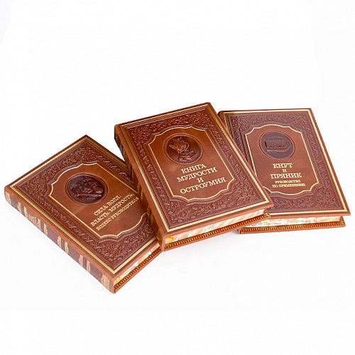 Набор руководителя "Лев на щите" с книгой "Кнут и пряник"