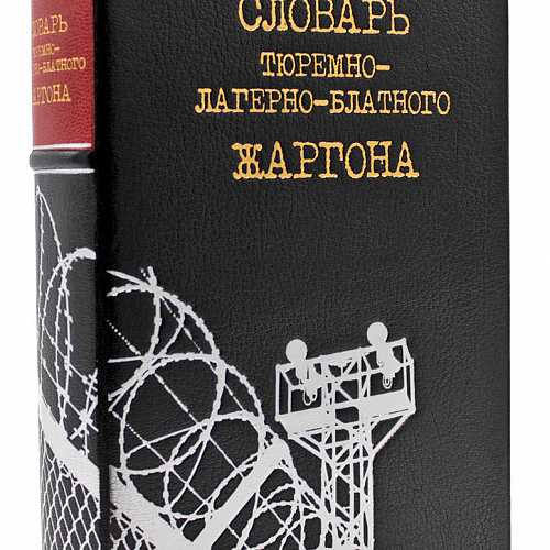Подарочная книга "Словарь тюремно-лагерно-блатного жаргона"