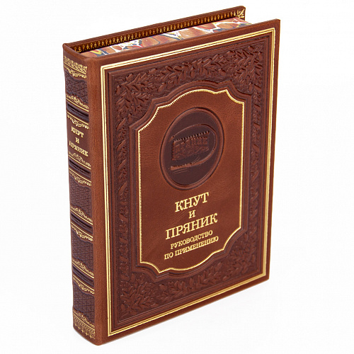 Набор руководителя "Лев на щите" с книгой "Кнут и пряник"