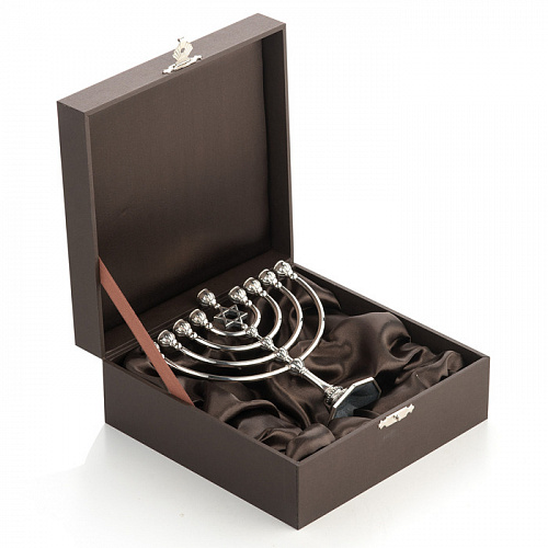 Ханукия серебряная